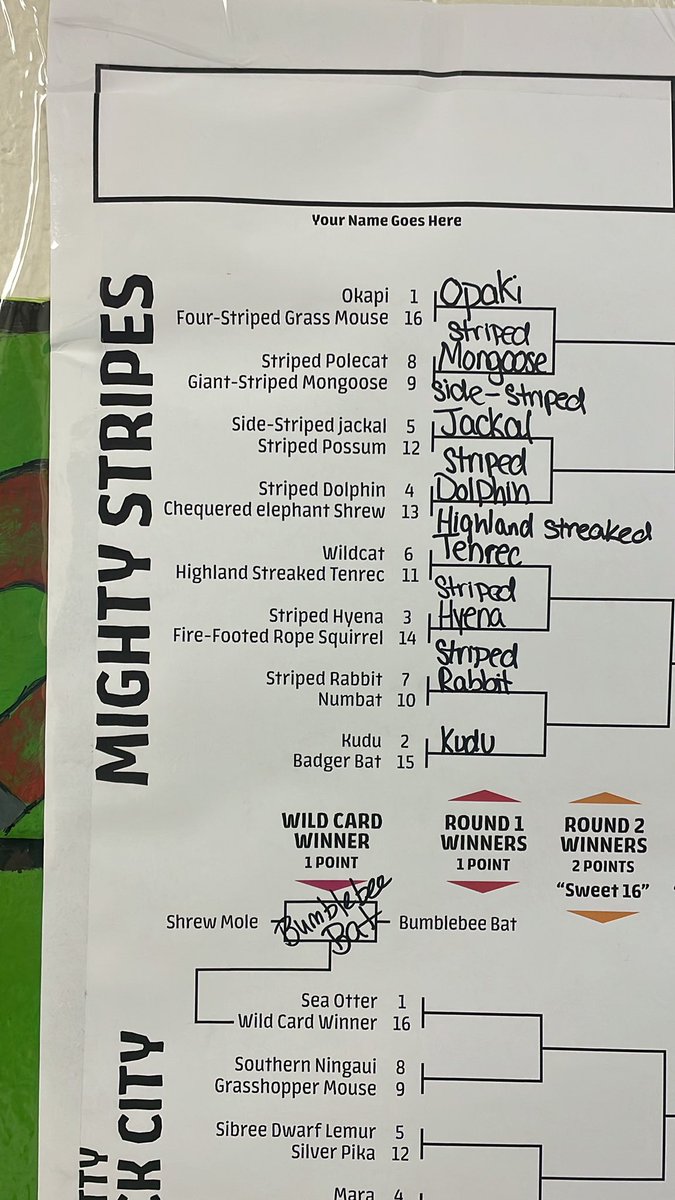 Meghan Campion tweet media