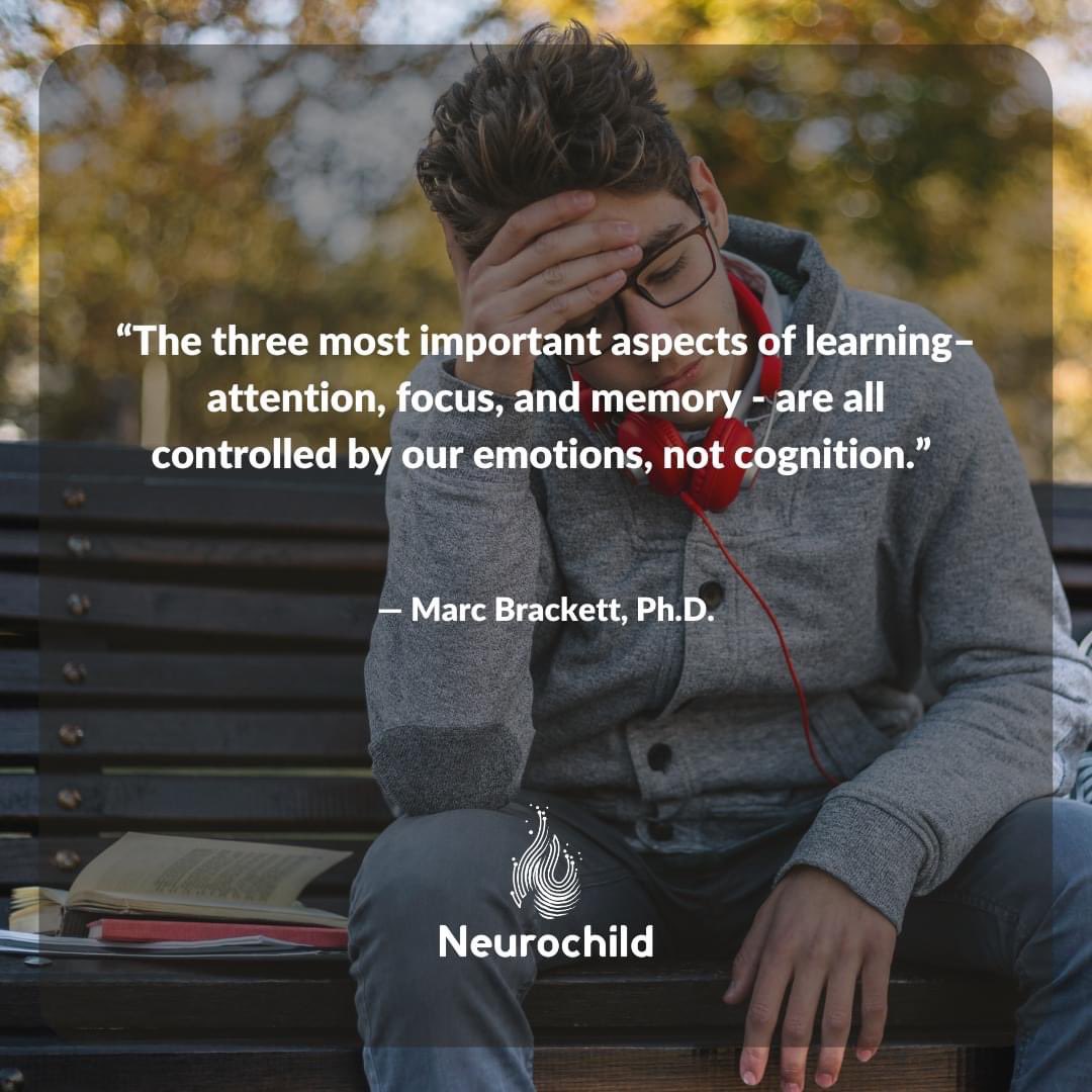 desautels_phd's tweet photo. When lower regions of the brain are integrated and organized, we can then access the cortex where learning occurs, but we need to feel safe and felt! https://t.co/jvoq9CzMhI