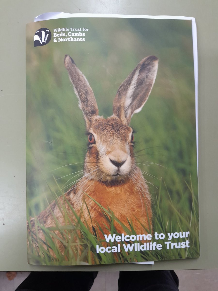 Ickwell is a county wildlife site so we are pleased to be members of our local wildlife trust