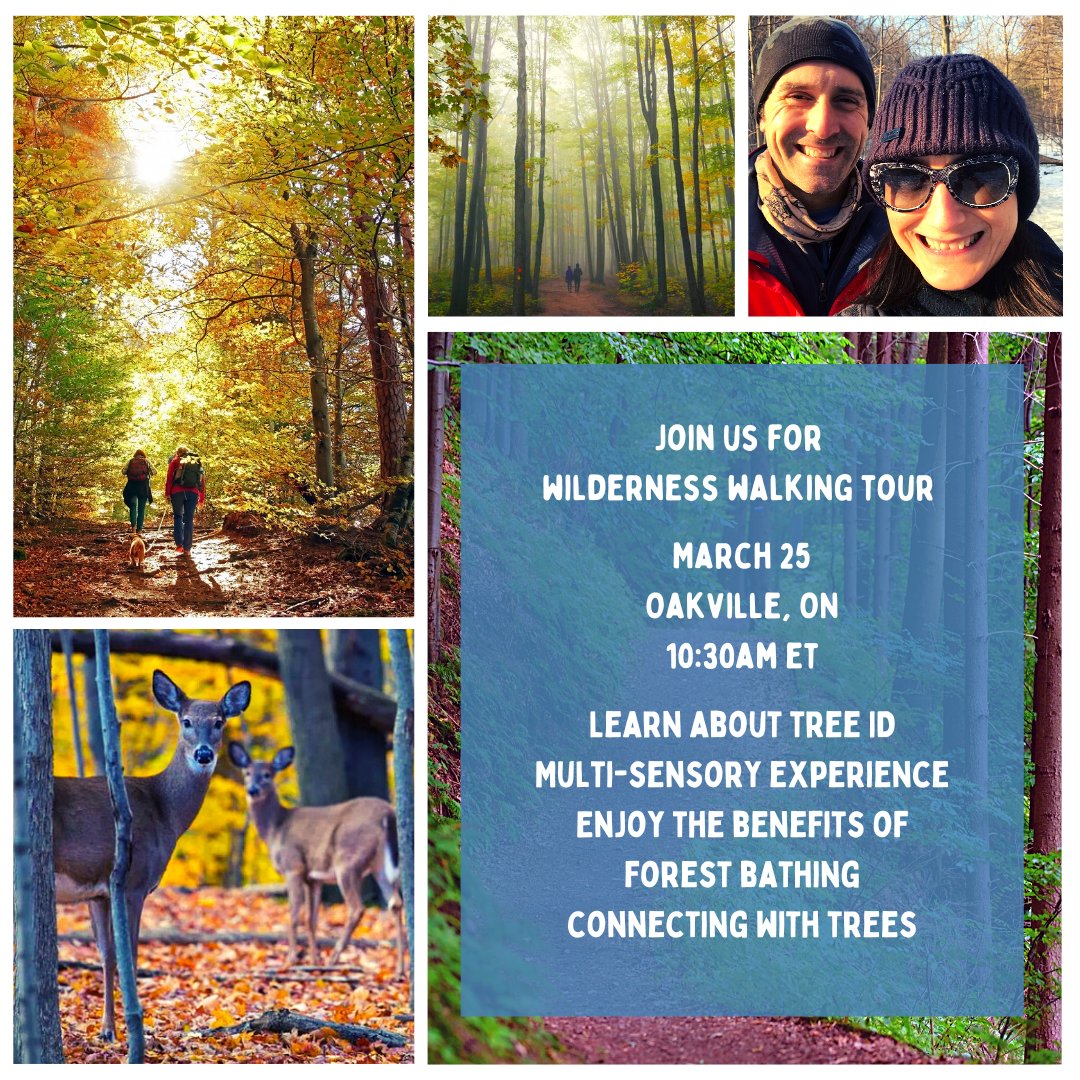 We are hosting our very first Tree ID walk. Have you ever wanted to learn more about forests, trees, branches and buds? 
Then this will be great opportunity to get a full sensory experience
fearlesslotus.com/event-details/…