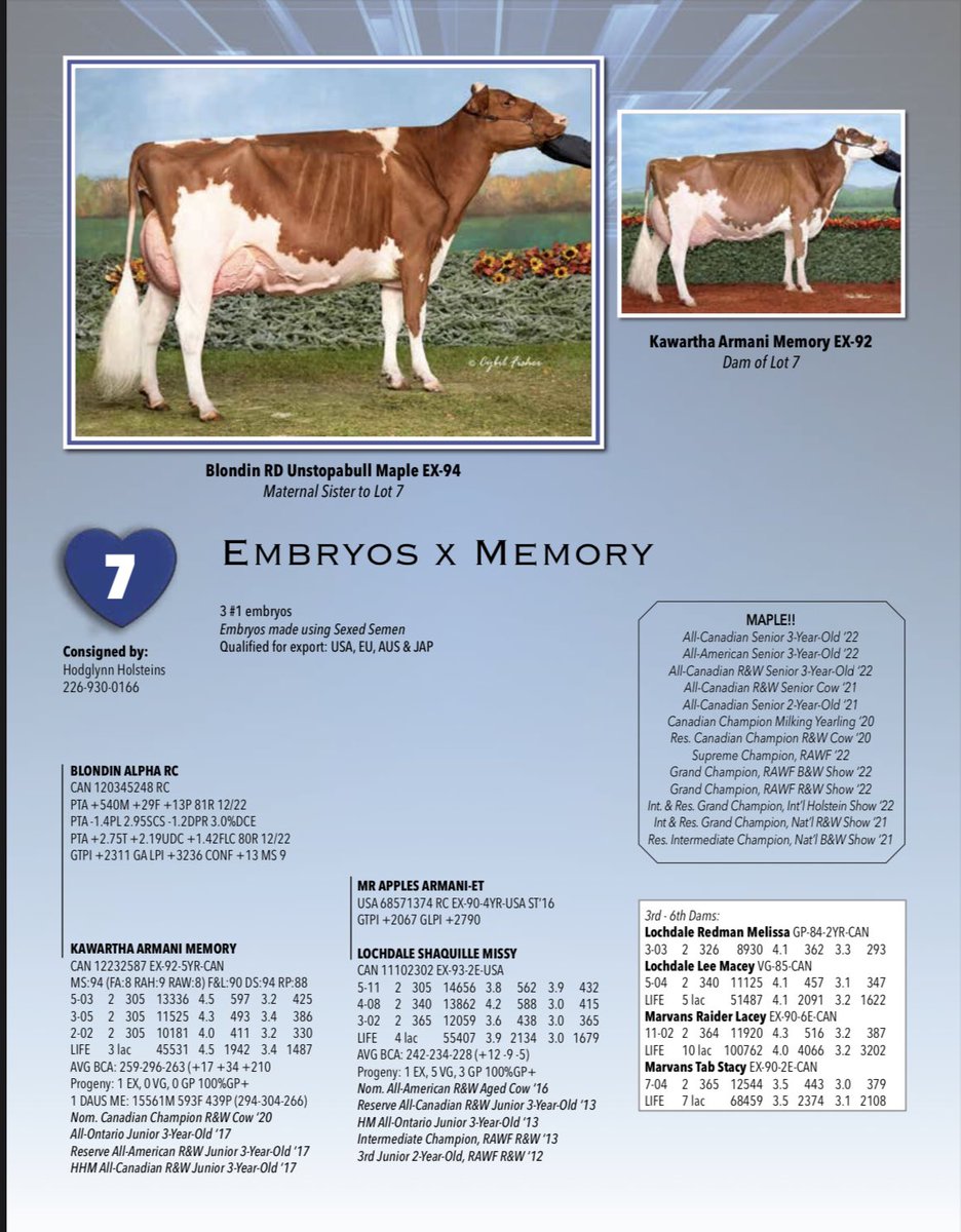 Selling in the calves for a cause sale April 5th @ CDX in Stratford