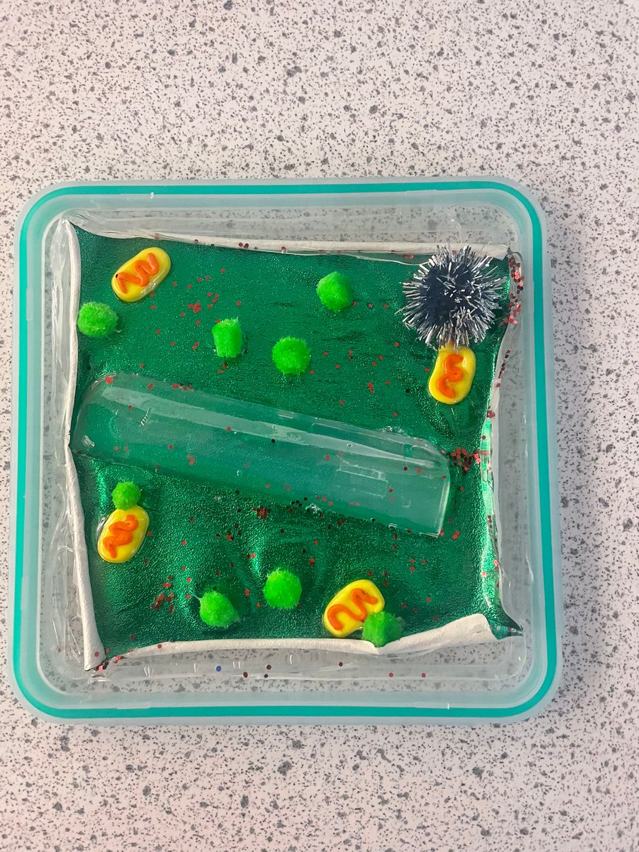 NBHS Science tweet media