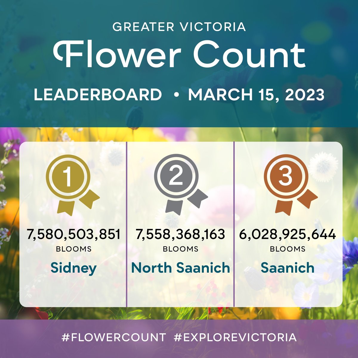 NorthSaanich's tweet photo. We have over 7 billion reasons to be grateful to live in North Saanich! Thanks to everyone who participated in this year's flower count and congratulations to our neighbours in @townofsidneybc!
#flowercount https://t.co/TADTZLXXBn