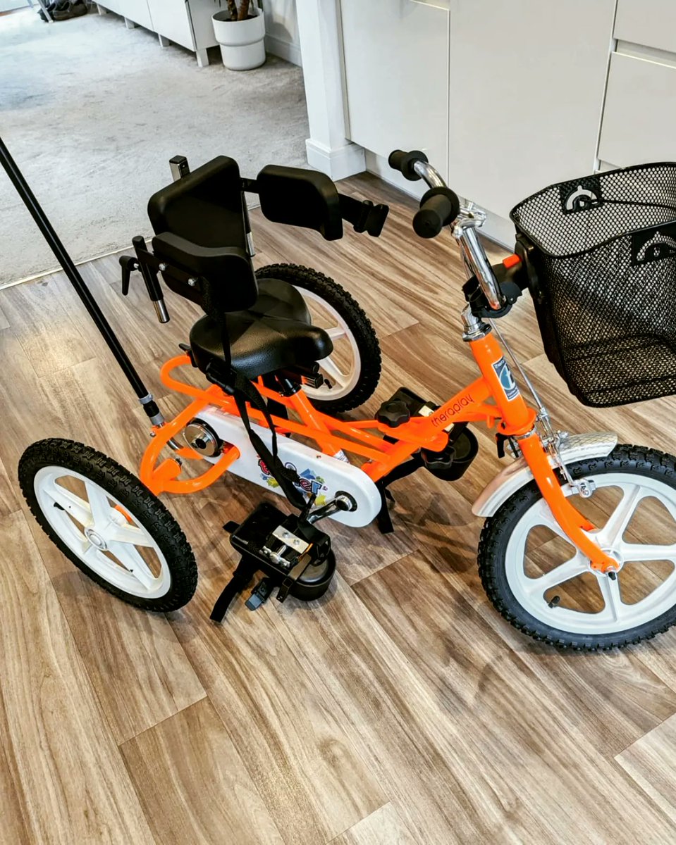 Live_Like_Rosa's tweet photo. Rosa had a very exciting morning and received her disability trike! 

Thank You @WhizzKidz who have made this possible! 

#theyseemerolling https://t.co/e0hTLONPYW