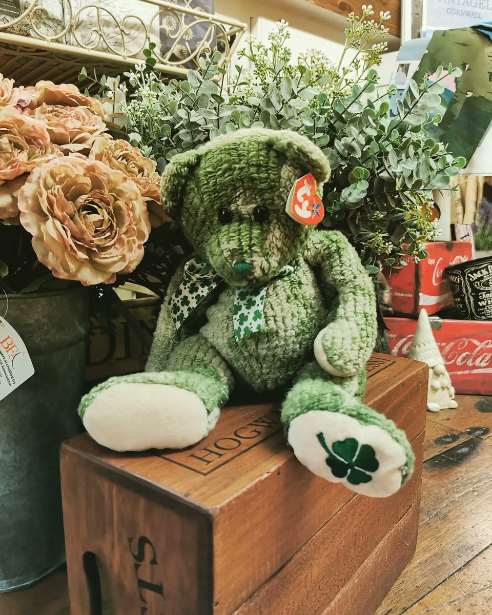 UrchinsBears's tweet photo. Happy St Patricks Day from ty McWooly...
#StPatricksDay2023 
#urchinsbearshop
#tintagel https://t.co/JDeBdaTZx3