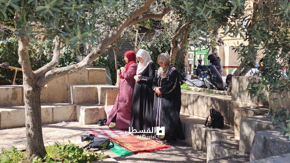 ML35209678's tweet photo. Al-Mourabitat, who were excluded from Al-Aqsa Mosque, performing Friday prayer on the Mujahideen Road. ❤️🤲
#ResistanceIsARight
#ResistanceIsAMust
#FreePalestine 🇵🇸 https://t.co/ILZ1Z6tkc0