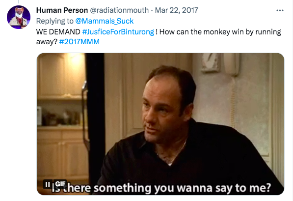 Human Person, @radiationmouth, says "WE DEMAND #JusticeForBinturong! How can the monkey win by running away? with a gif of a mobster "Is there something you wanna say to me" in a blatant attempt to intimidate the press secretary. 