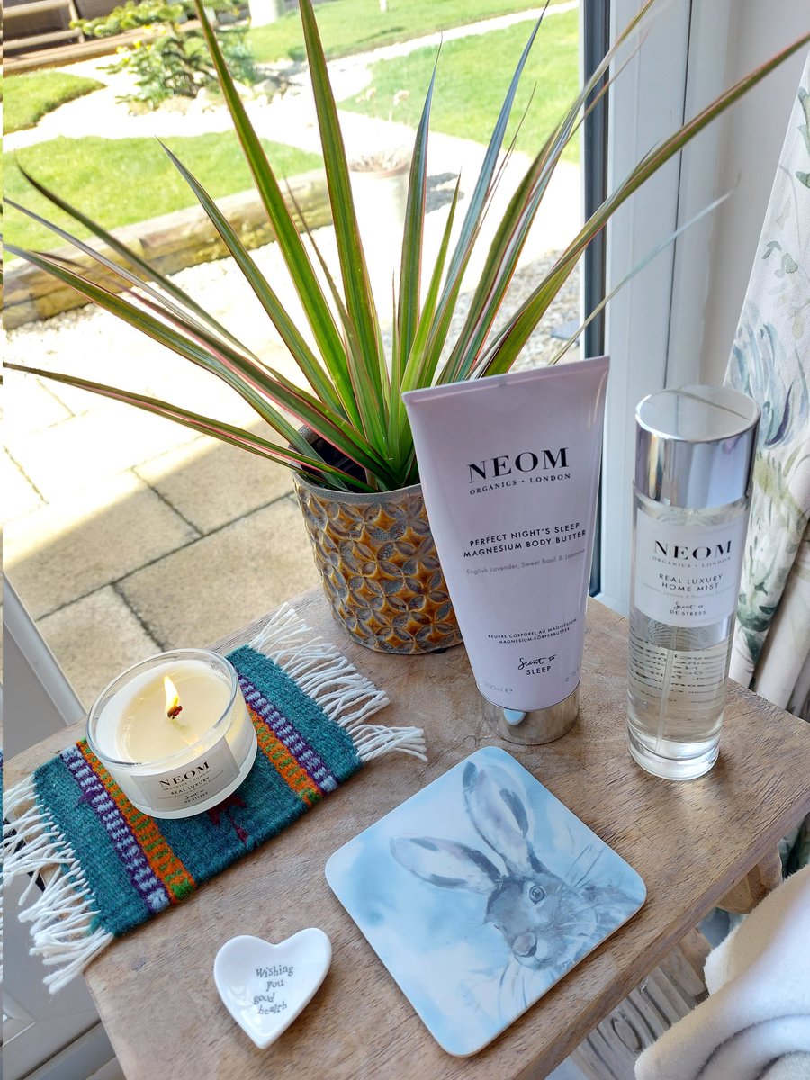 Andi J Sheffer tweet media