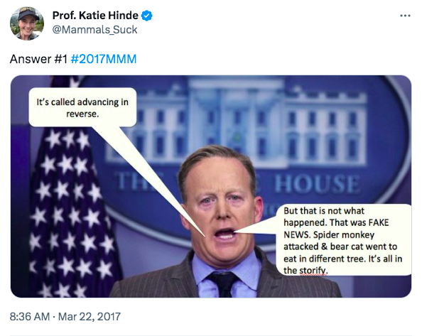 "It's called advancing in reverse. But that is not what happened. That was FAKE NEWS. Spider monkey attacked & bear cat went to eat in a different tree. It's all in the storify." (note: the bearcat went to eat figs).