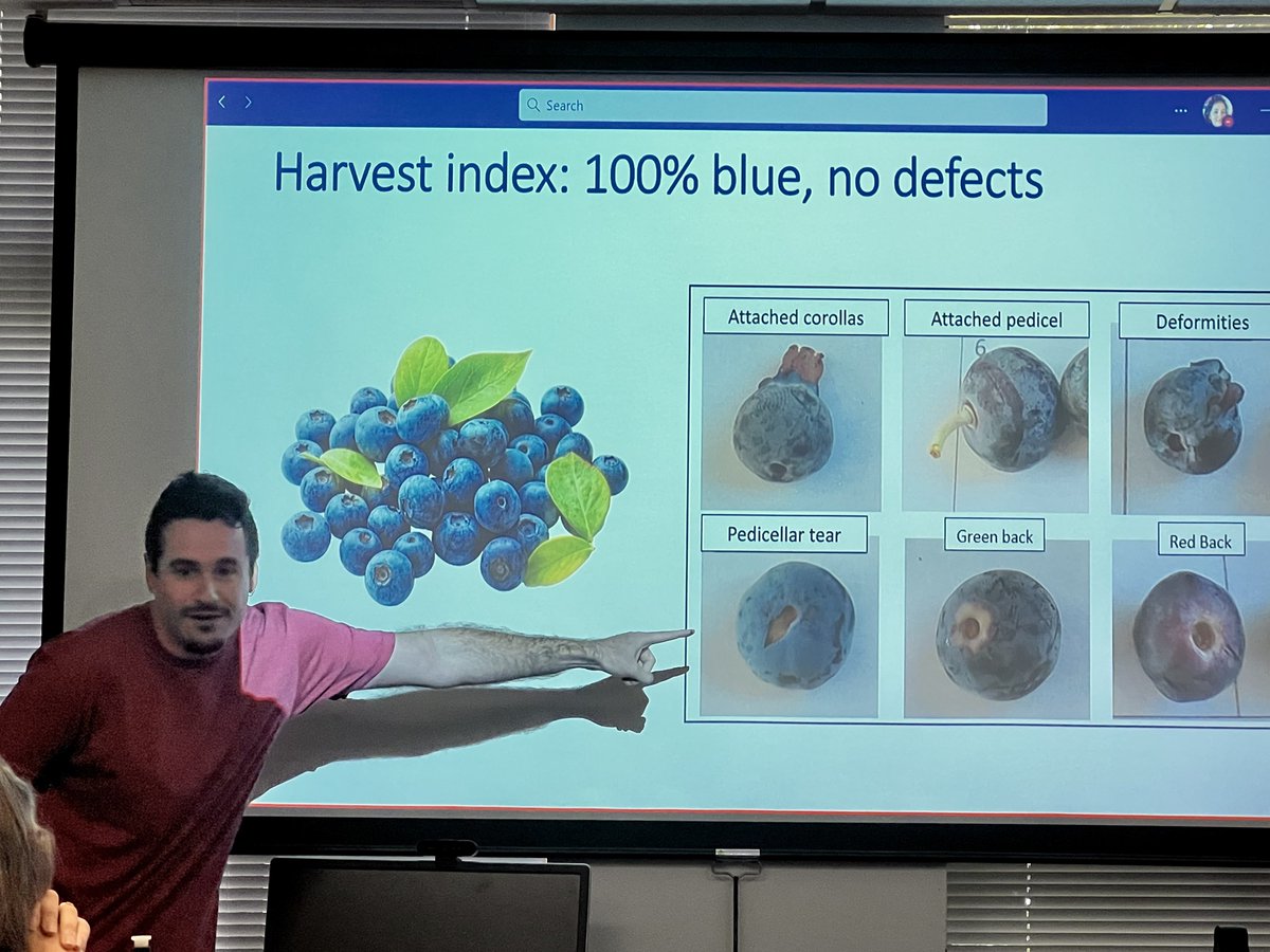 JuanBreeding 🫐 🌱🧬 tweet media