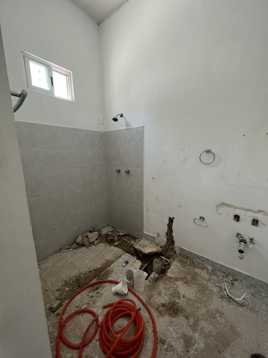 Mr. Pawtastic tweet media