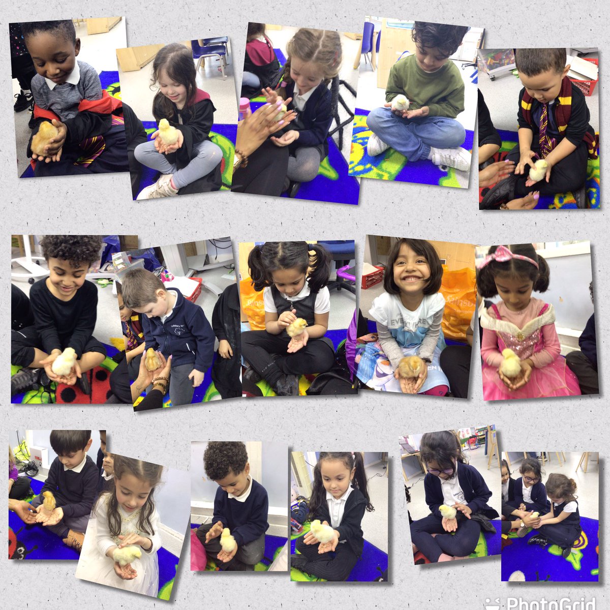 Miss Phillips tweet media