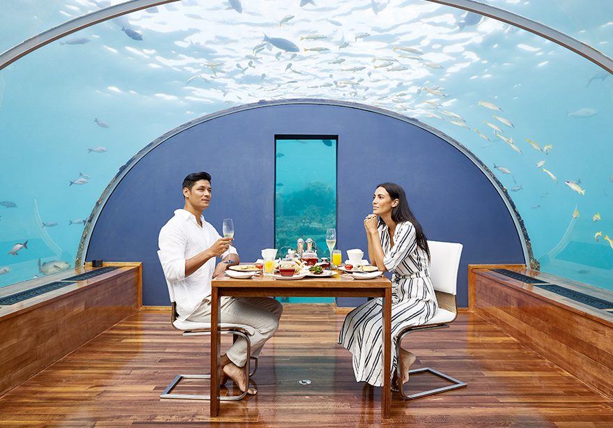 ritzytravel's tweet photo. Want to dine under the ocean, at a world leading luxury resort?  Well you can....almost.  The Conrad Maldives offers dining, with panoramic coral garden views, in a capsule!  With fusion menus. Amazing. #conrad #ithaa #maldives https://t.co/92eyMeXwz7