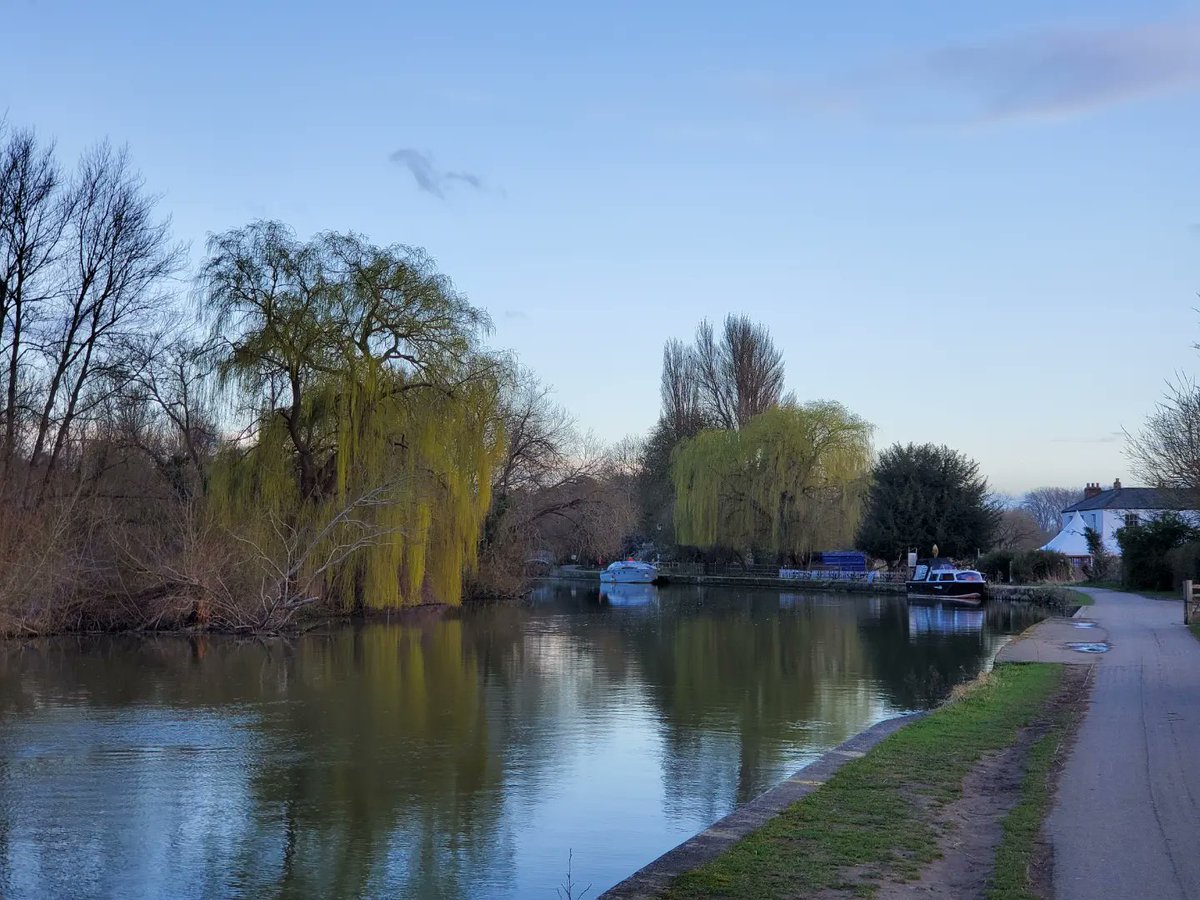 Morten Lidegaard tweet media