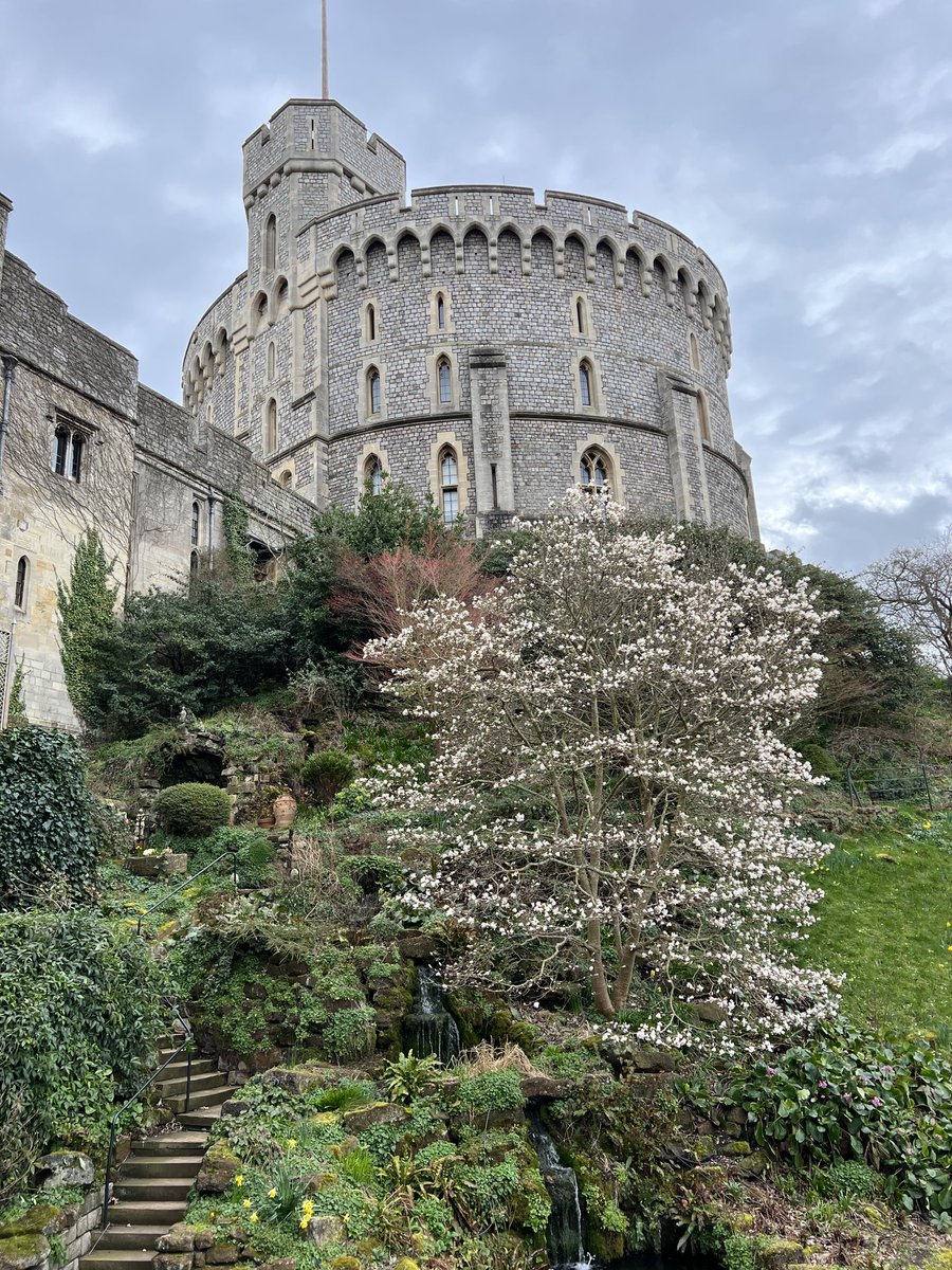 Spring at Windsor Castle 

#driverguide #britainsbestguides  #guidelondon