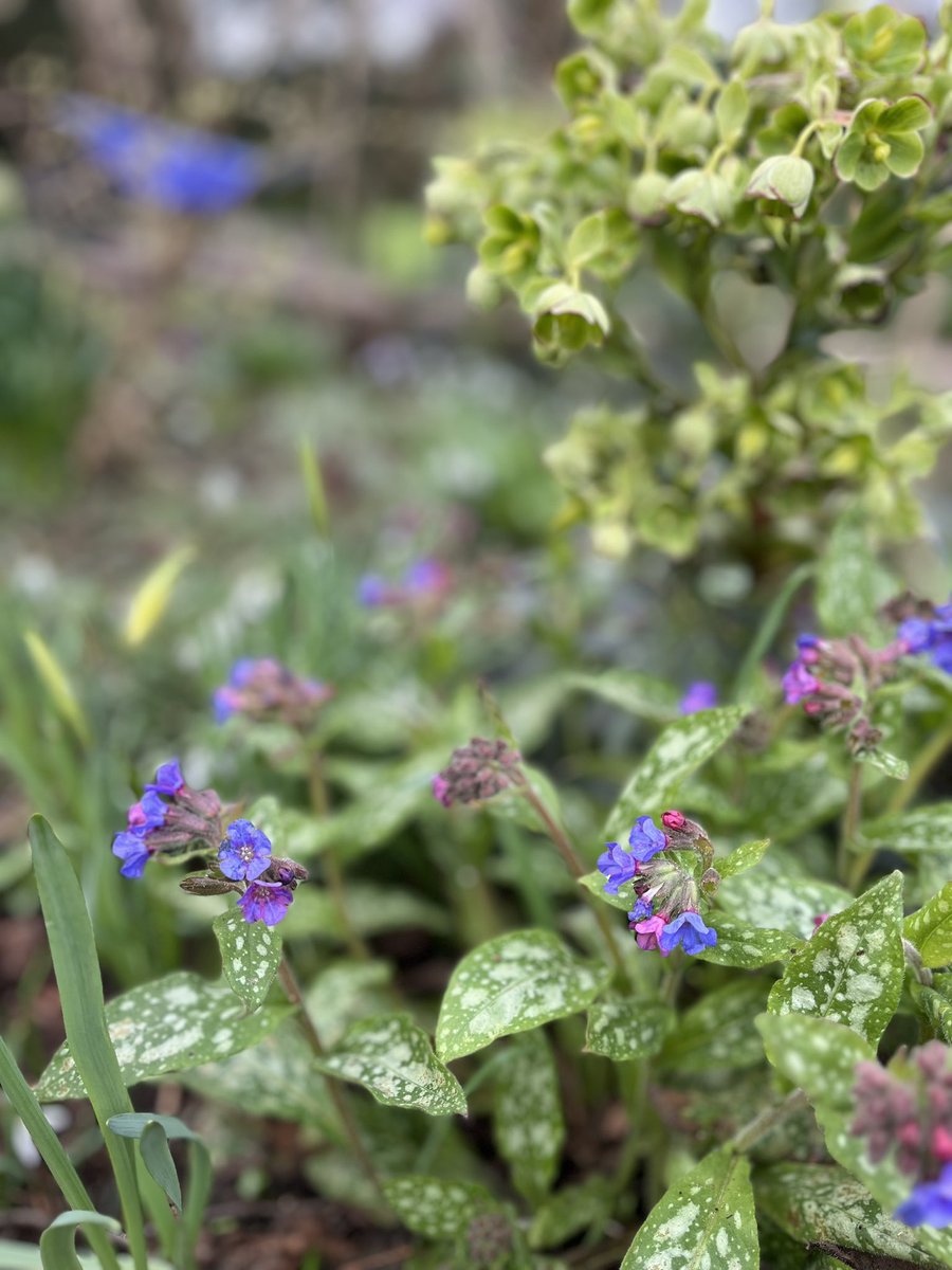 The elegance of the layered look.

Friday soaking. 

The gardens look amazing though.