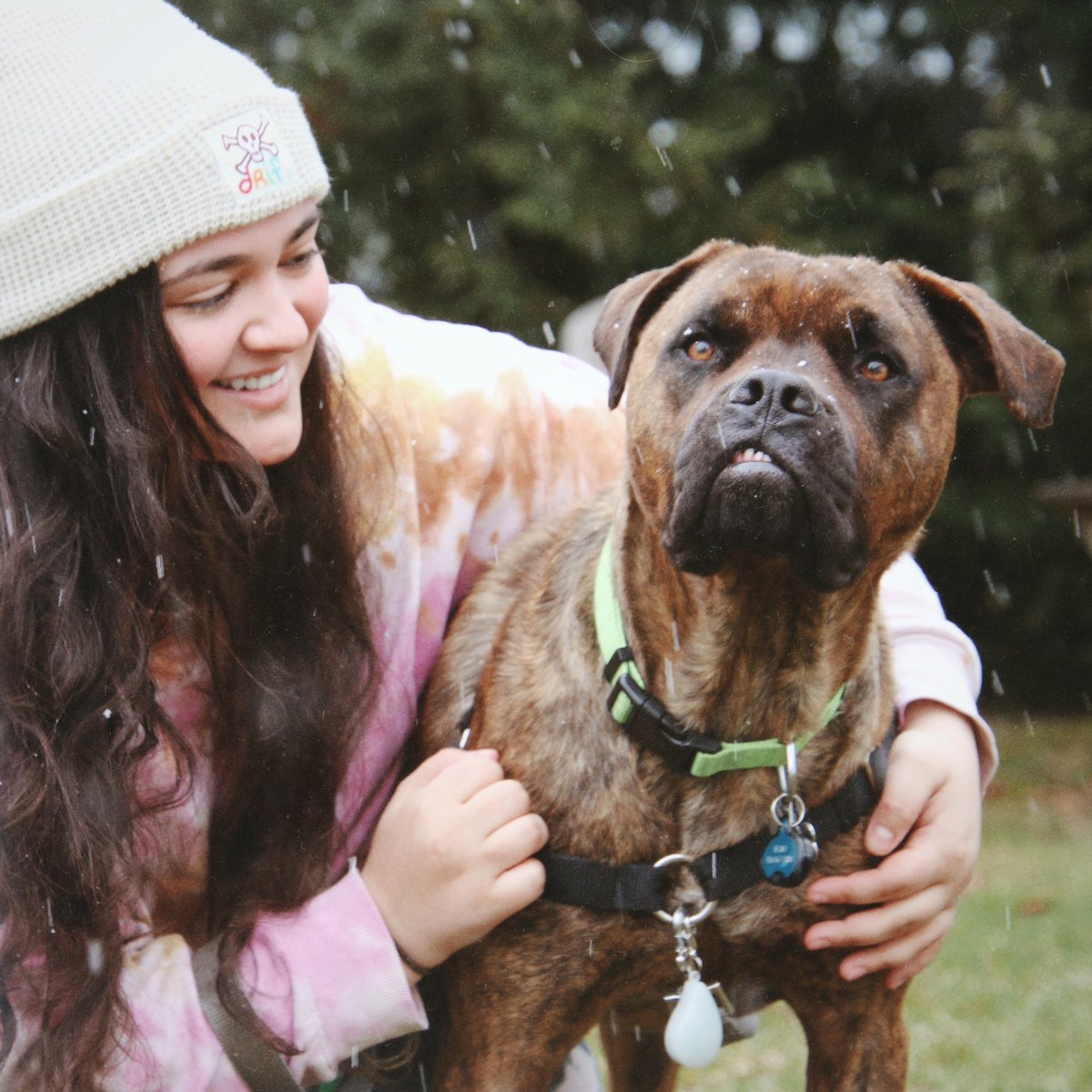 Echo, my new studio companion 🐶💚