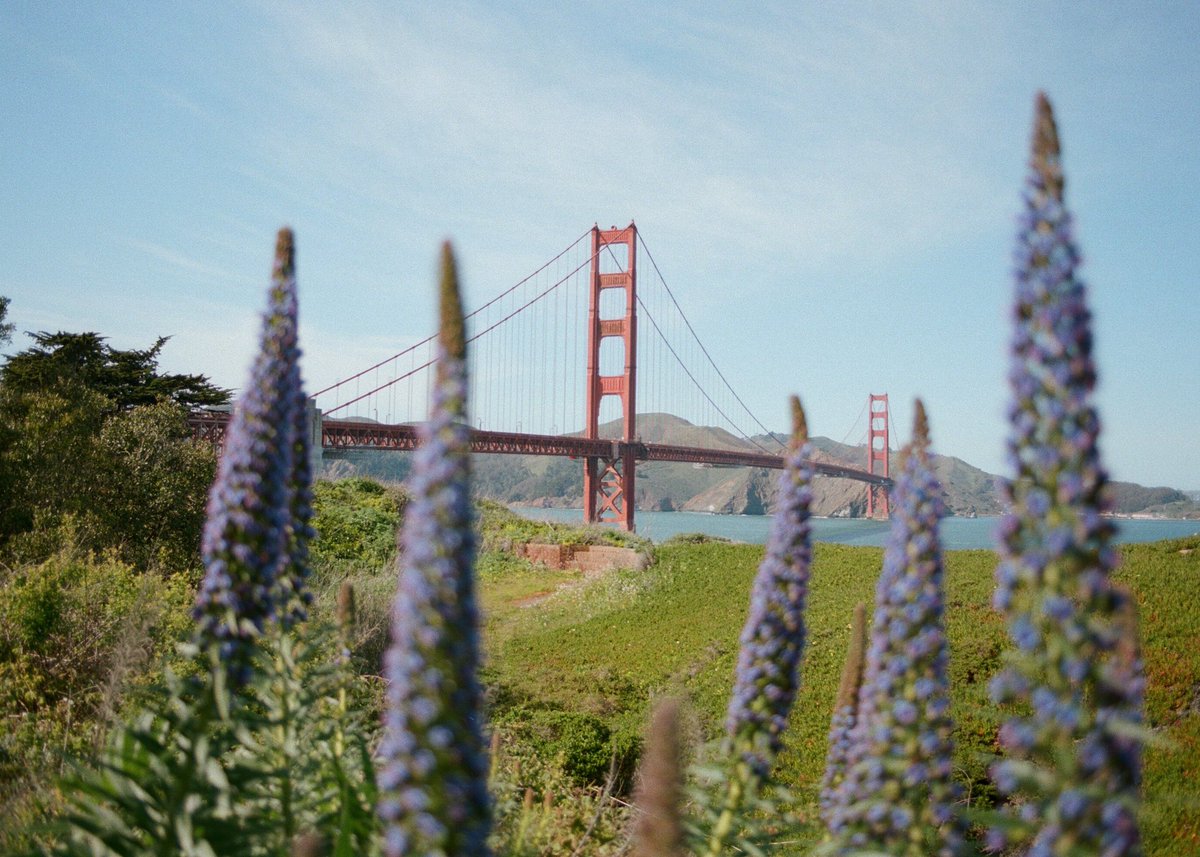 San Francisco on 35mm film