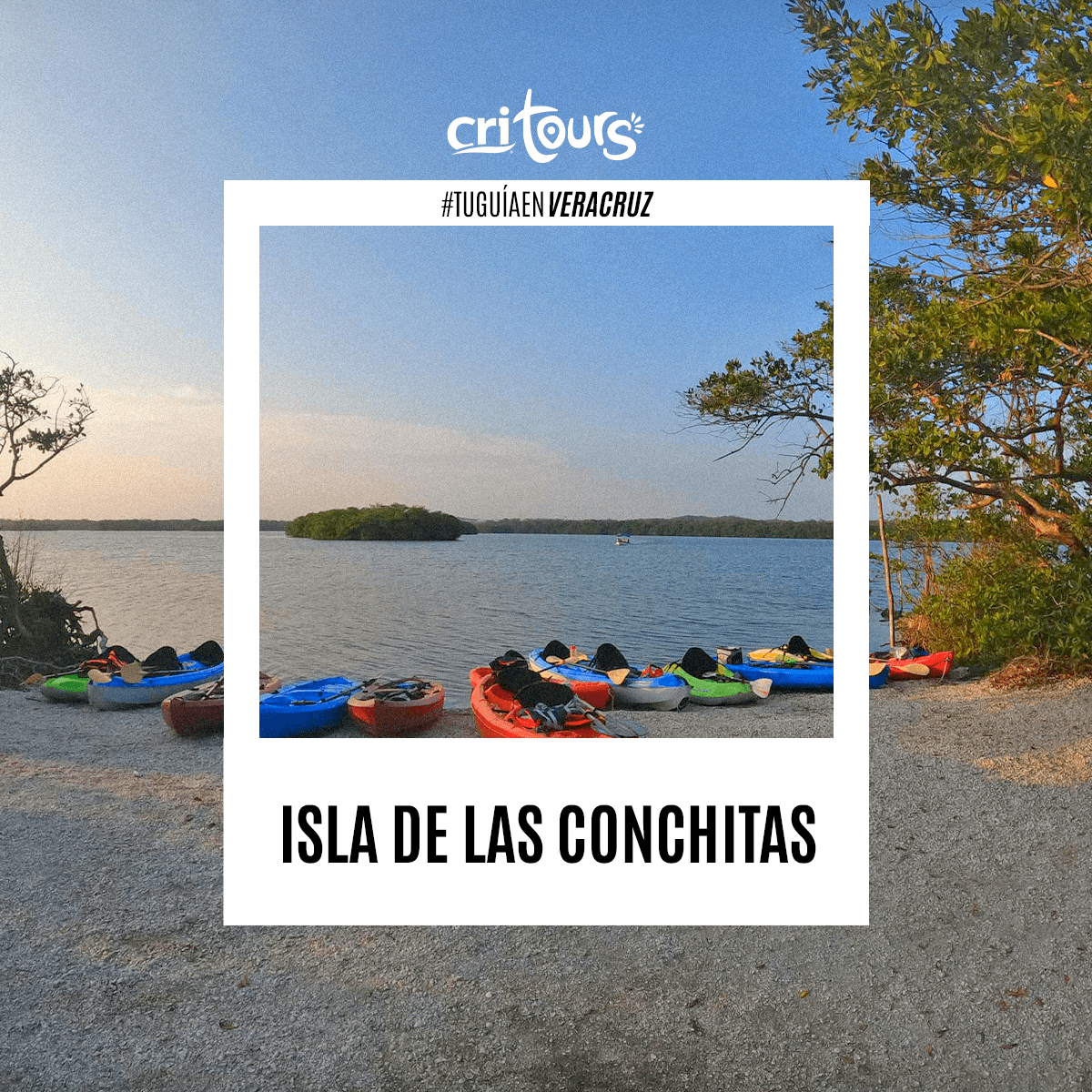 cri_tours's tweet photo. Que tal este TOP 3 de experiencias imperdibles 💯 ¡Déjate atrapar por #Veracruz! Estamos a tus ordenes con un excelente equipo de trabajo, #transporte premium y los mejores #tours 👌 Con #CriTours viaja como un experto 🌴🌊🎒😎
#TuGuíaEnVeracruz 📲 229 779 2032 https://t.co/lKDdd5c8Jl