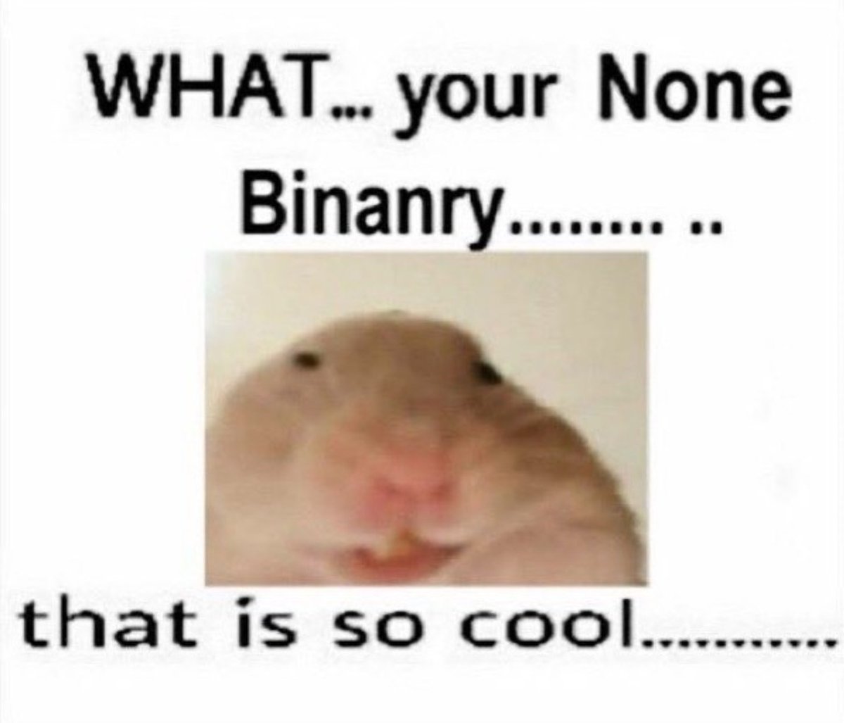 trans memes (@trans_shitpost) on Twitter photo 