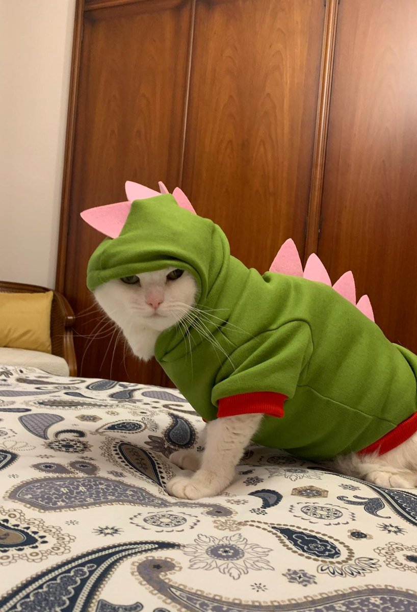 cuidado Ticasaurio ha llegado a la ciudad