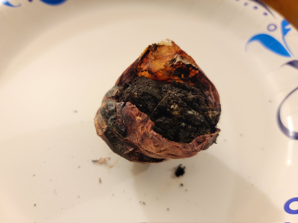 DThomas_Owner's tweet photo. Genuine deer musk is a fragrant,cholesterol-based substance from a specialized gland found on the male musk deer. It's expensive, but one of my favorite perfume ingredients. https://t.co/dlrjK3M7Eq