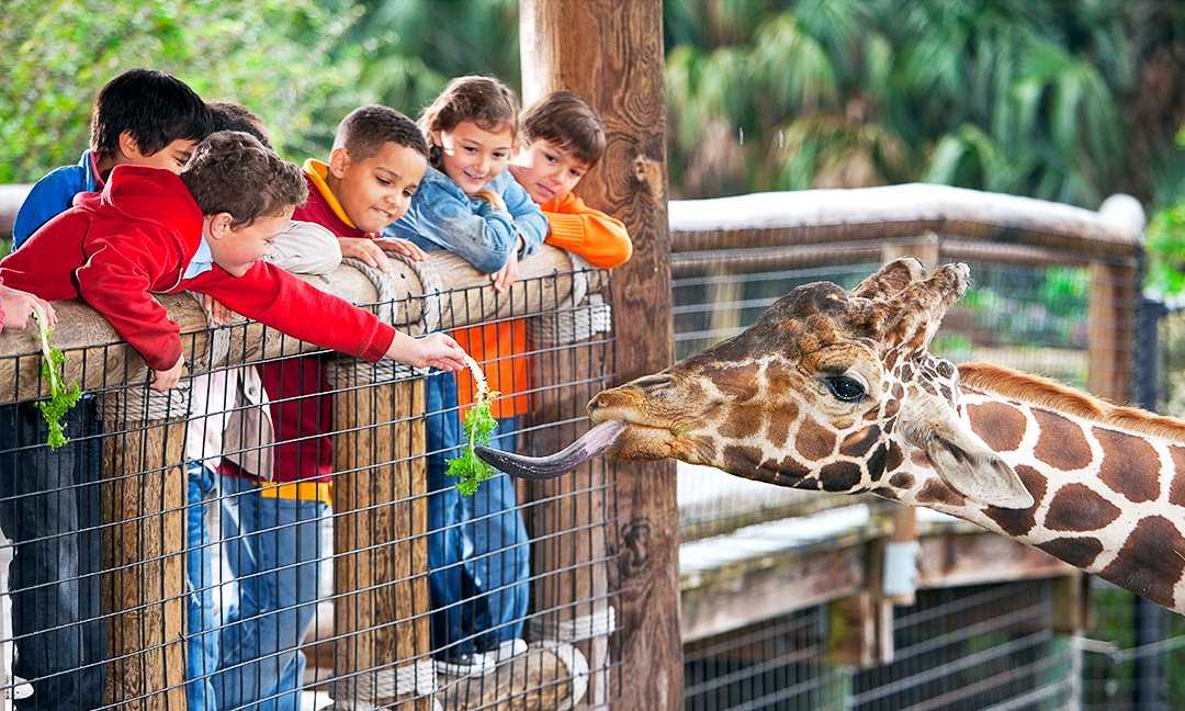 SMRobotics's tweet image. Spring Camps March 27 to March 31 - mailchi.mp/62834cd43d9f/s…