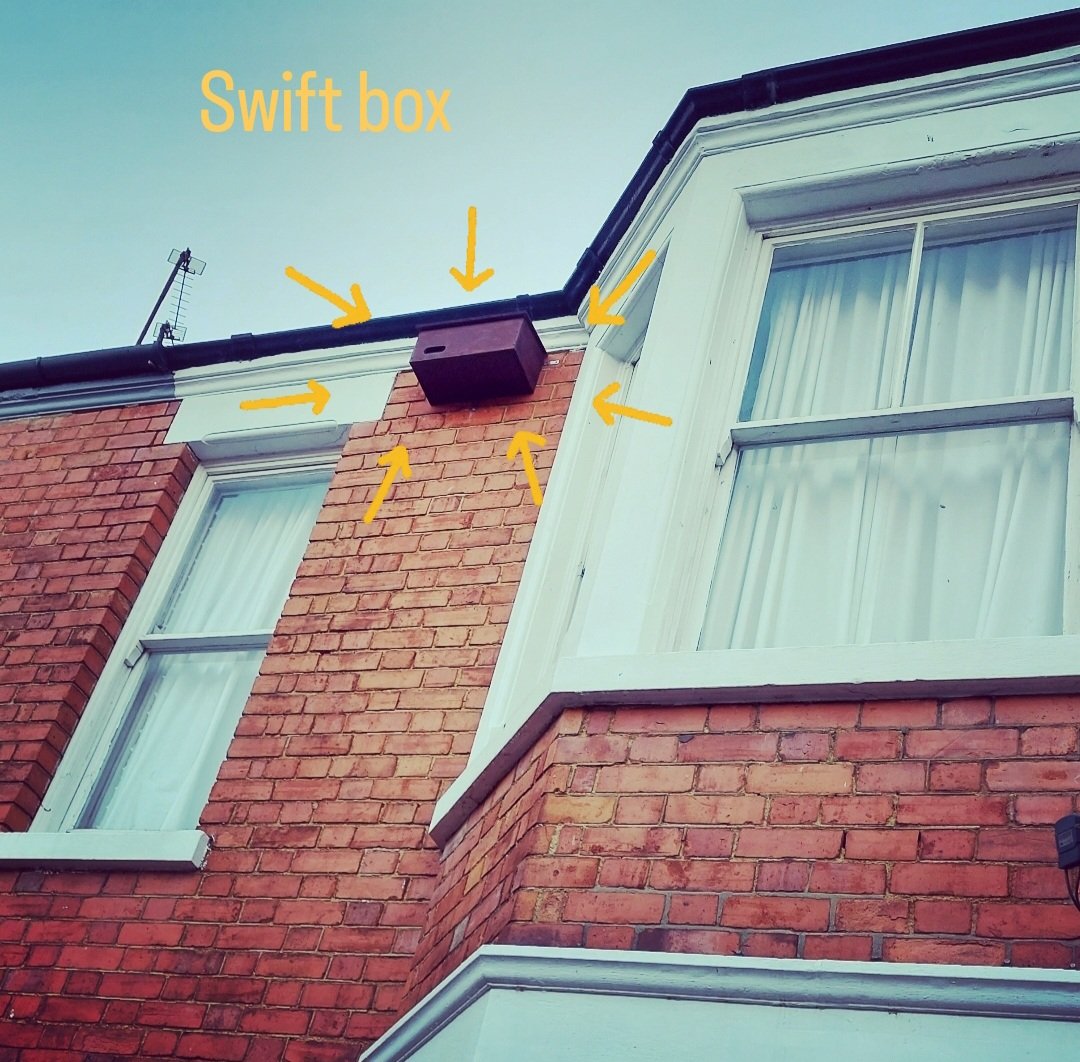Thank you <a href="/EmmaLinnet/">Emma Rix</a> for arranging my amazing swift box - looking forward to May even more now - hopefully it will be a welcome home for some swifts one day 😊