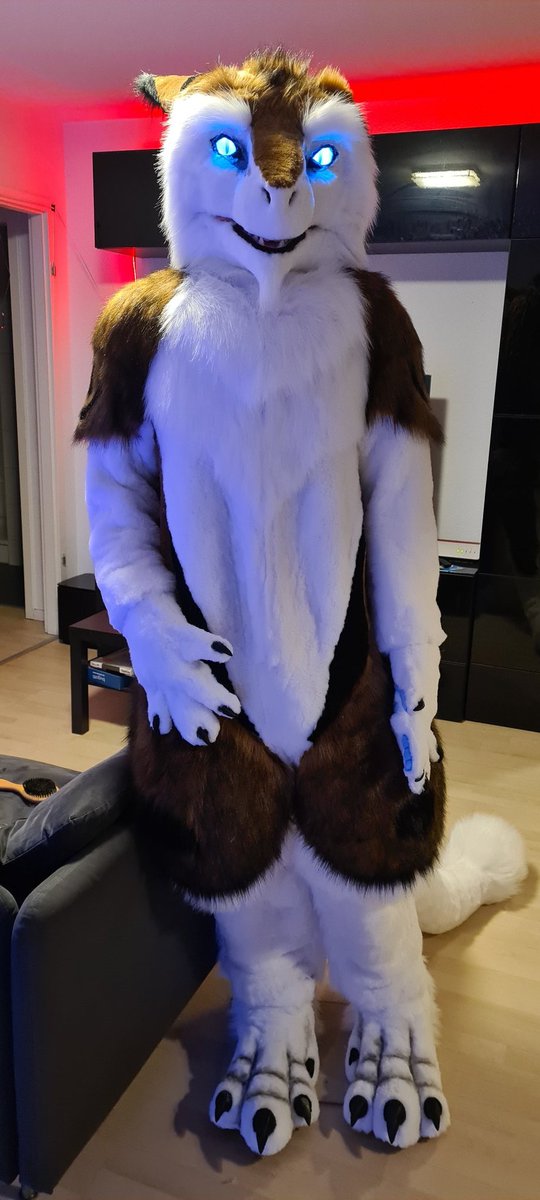 YasFloki tweet media