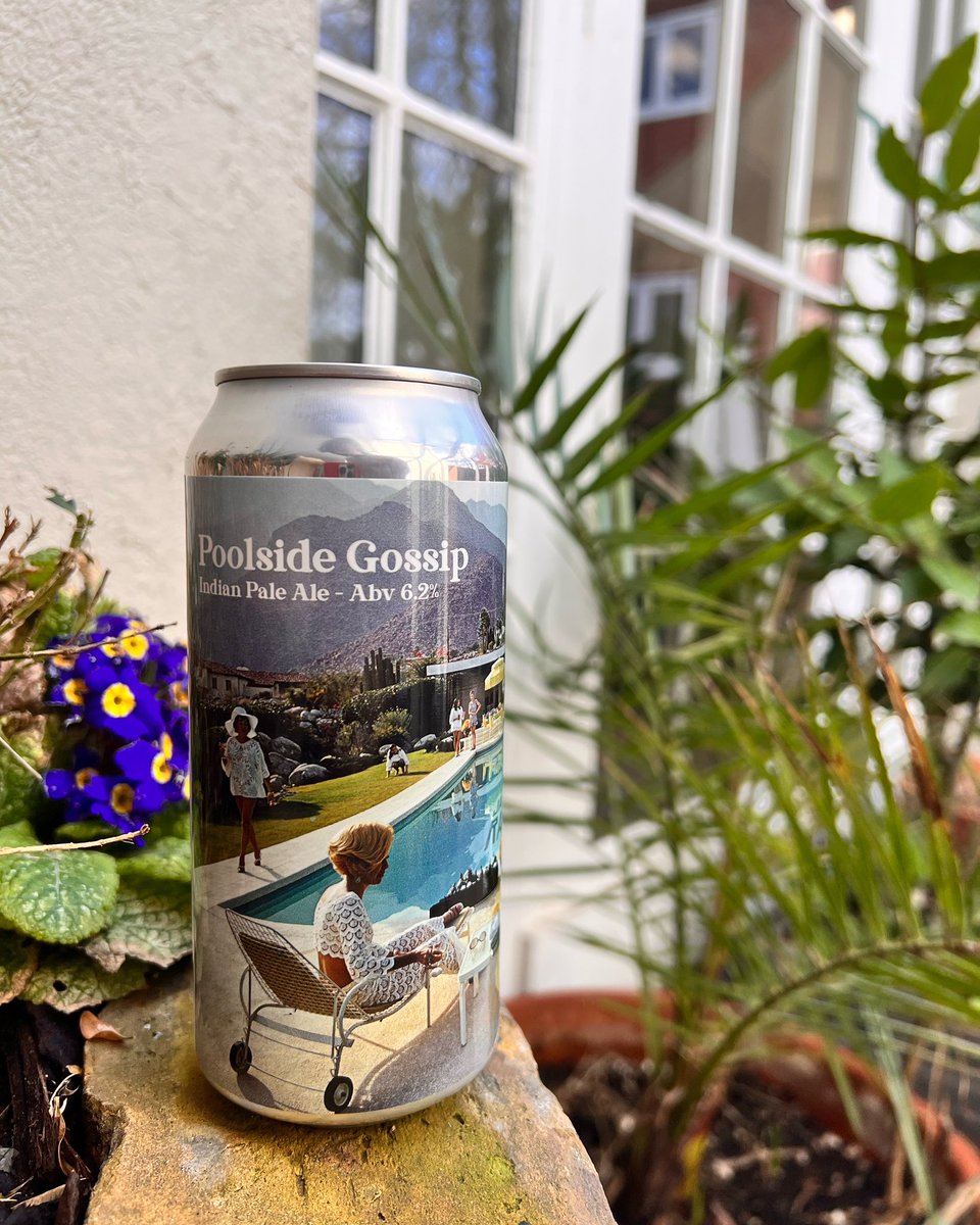 NEW in at The Magnet 🧲 

@jackrabbitbrewery
• Poolside Gossip (6.2%) 🌴

#magnetcolchester
#colchesterbusiness 
#colchesterpub
#colchester
#essexpub
#jackrabbitbrewing 
#poolside
#gossip
#micropub