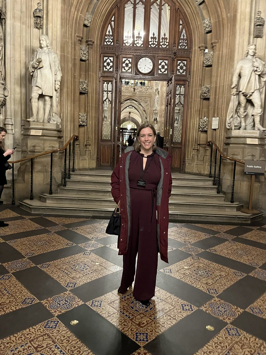 SarahGoodall's tweet photo. I made it in @HouseofCommons #E2E100 https://t.co/oURuNjxBJA