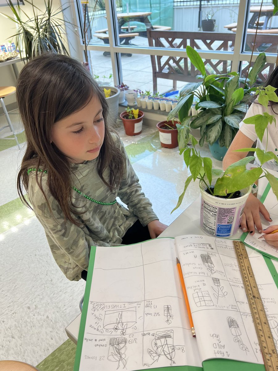 Lincoln HeightsECMES (@lhecmes) on Twitter photo I spy ๐ Mrs. Ryanโs Expedition, Exploring Seeds, Leaves & Plants, using their math ๐ข skills to measure ๐ and log ๐ their plantโs๐ชด growth. <a href="/SGaitan/">Scott Gaitan</a> <a href="/MrsMcAuleyNC/">AnitaM</a> <a href="/wcpssmagnets/">WCPSS Office of Magnet Schools (Choice Schools)</a> I spy ๐ Mrs. Ryanโs Expedition, Exploring Seeds, Leaves & Plants, using their math ๐ข skills to measure ๐ and log ๐ their plantโs๐ชด growth. <a href="/SGaitan/">Scott Gaitan</a> <a href="/MrsMcAuleyNC/">AnitaM</a> <a href="/wcpssmagnets/">WCPSS Office of Magnet Schools (Choice Schools)</a>
