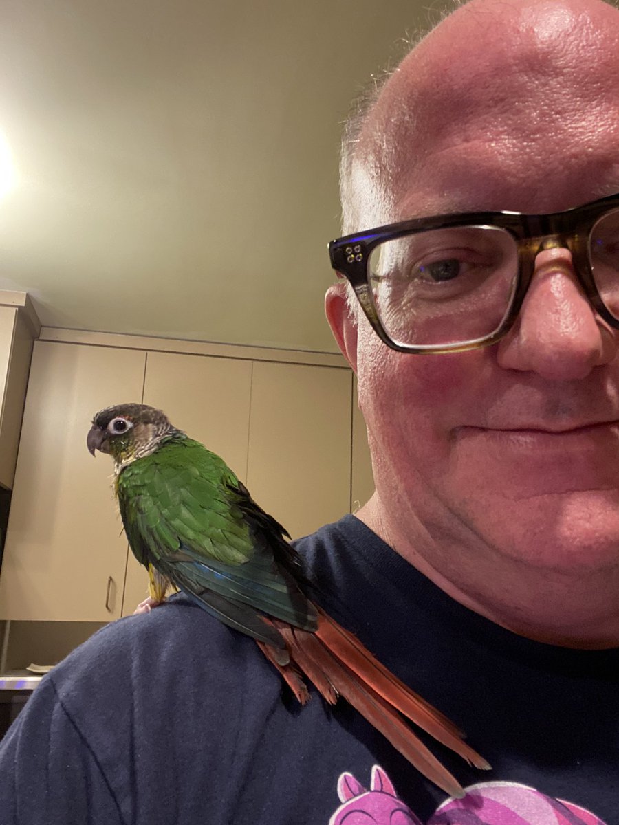 nellardoventure's tweet photo. @DirkSchwenk #awesomeparrot https://t.co/htL6Nj6uA7