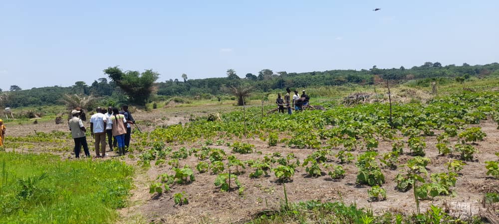 ANADER_CI's tweet photo. Dans le cadre des activités du #PURGA2 le Ministère d'Etat, Ministère de l'Agriculture et du Développement Rural accompagné d'équipes de la @RTIOfficiel, visite les bénéficiaires pour recueillir des témoignages sur l'appui de L'ANADER dans l'exécution du projet.
#CIV225 https://t.co/y8Xp2eNpo3