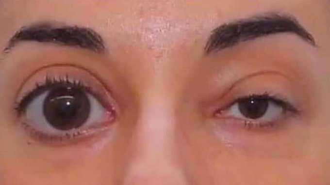 itsD3lay's tweet photo. Nadie:

Mis ojos en las fotos: https://t.co/J8JxjfeuDQ