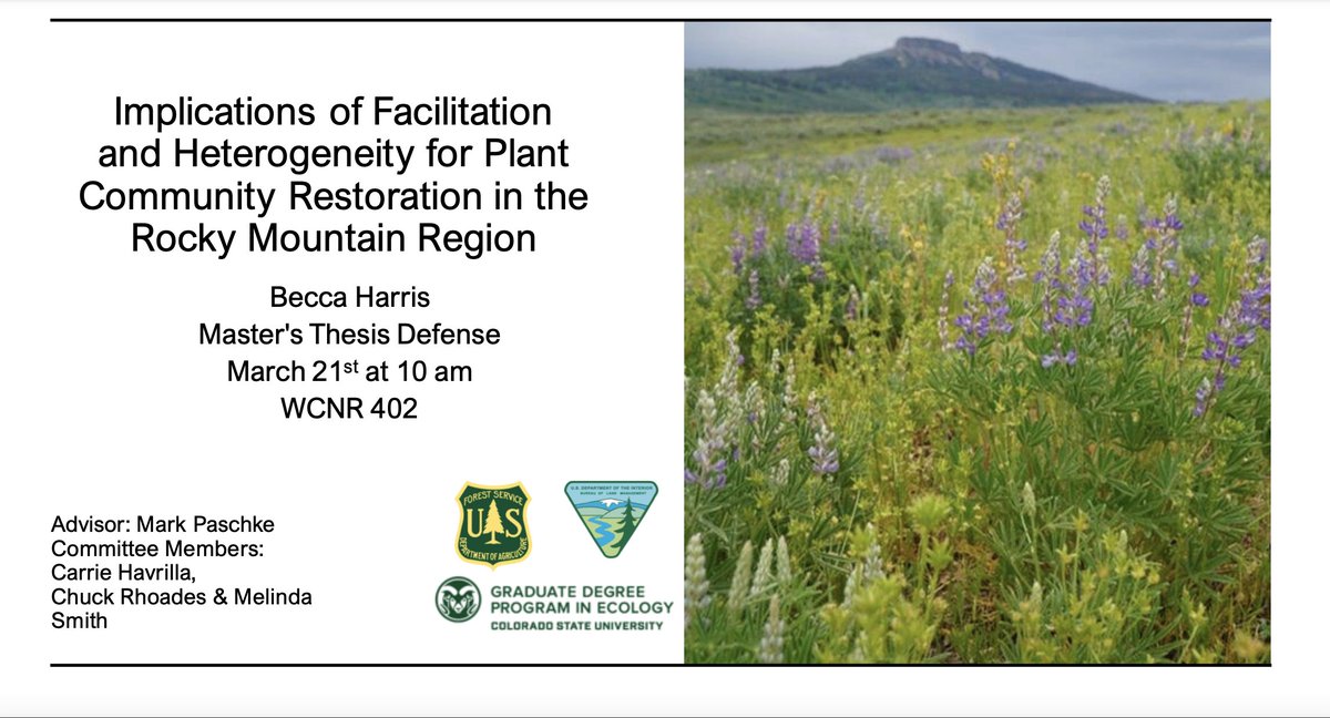 I will be presenting my master's thesis on March 21st at 10am! Send me a DM if you're interested in the Teams link.