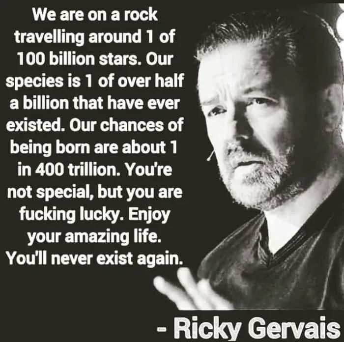 RT @alvinfoo: Enjoy your amazing life! You’ll never existing again! — Ricky Gervais’s quote is simply brilliant https://t.co/dgkpOtdbnT