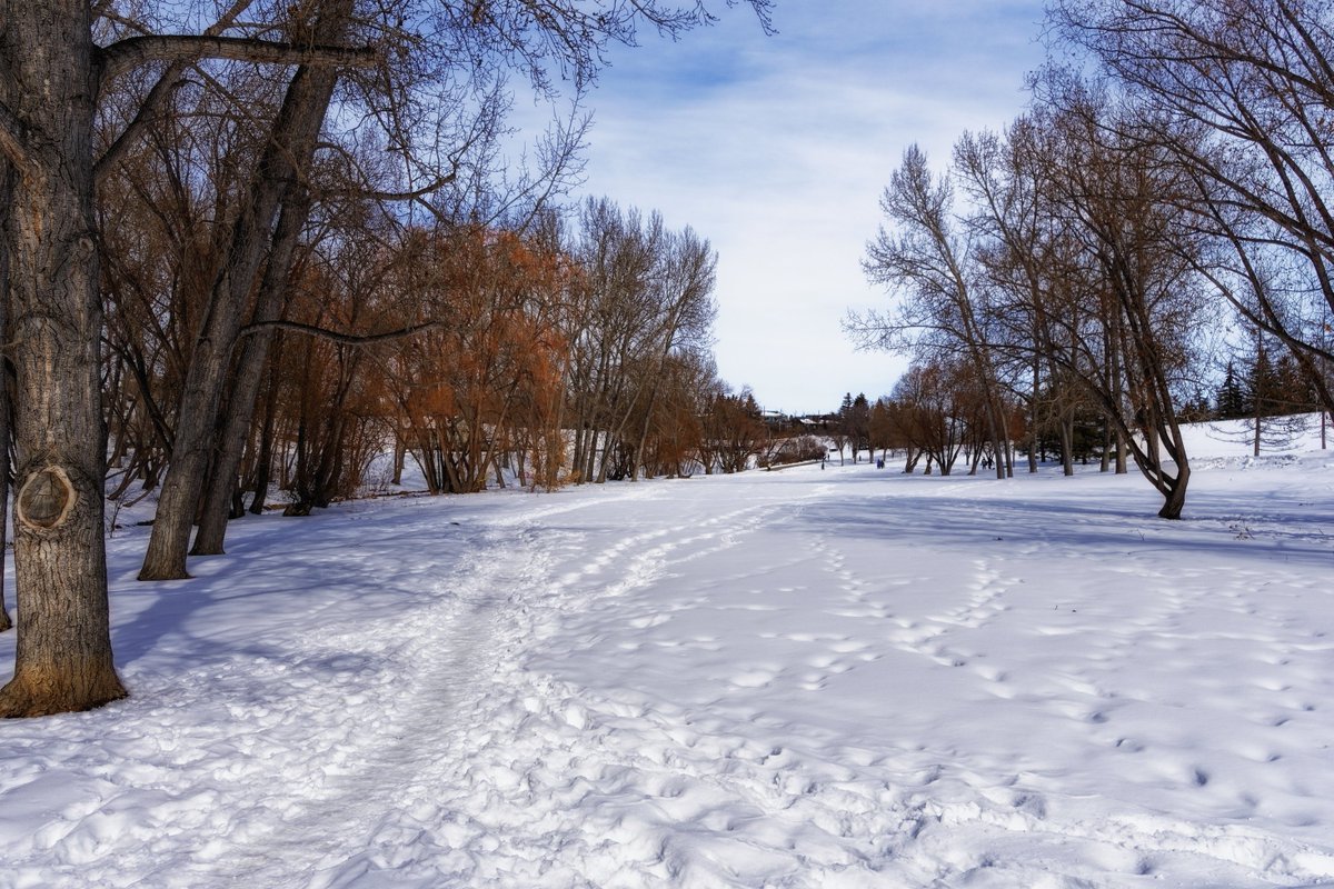 Late winter in Confederation Park 2.  #calgary #alberta #confederationpark #confederationcreek #winter #snow #ice #hdr #hdredit #aurorahdr #dxoaffiliate #madewithdxo #madewithnikcollection #on1pics