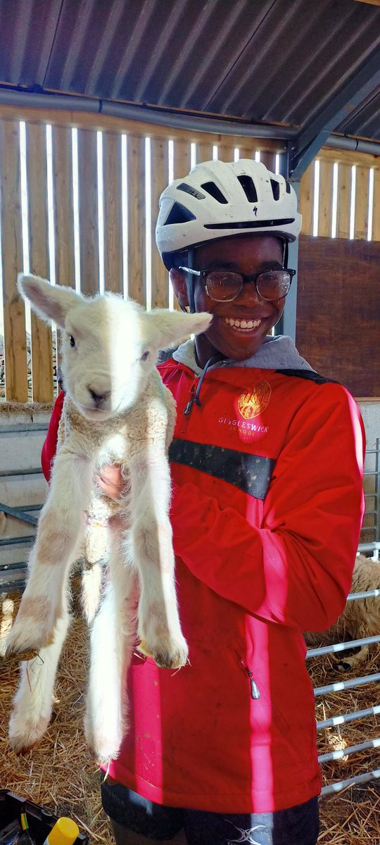 Shute House tweet media