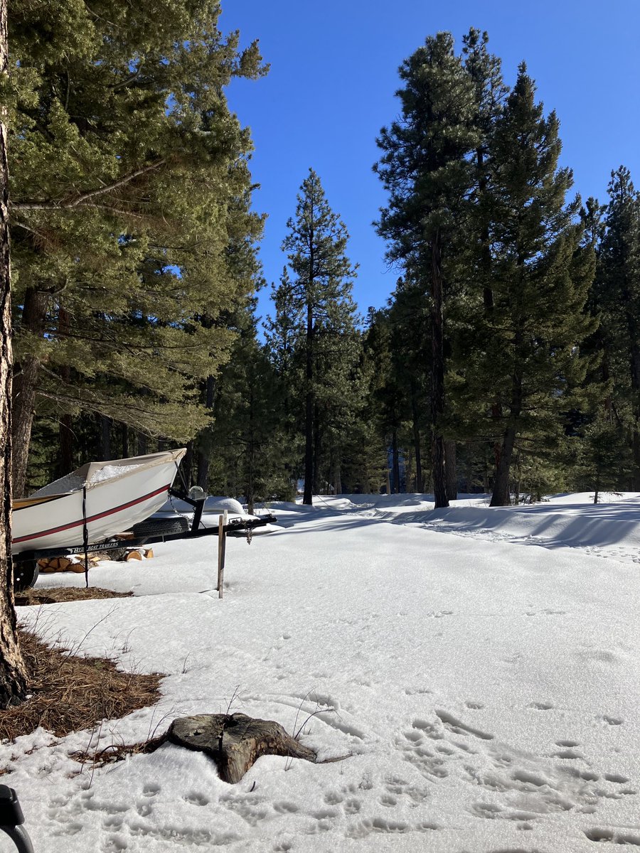 ⁦<a href="/dmasin88/">apexcreationnetwork</a>⁩ ⁦<a href="/ButrynMatt/">matt butryn</a>⁩