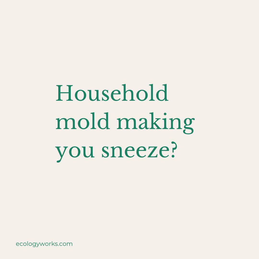 ecology_works's tweet photo. Everyone breathes in #Mold spores, but about 25% of people are #allergic. Learn more about #MoldAllergies, plus how you can reduce symptoms and find relief. #TheEcologyWorks  https://t.co/DXDw3vn8Hh https://t.co/veO5CUoH0Q