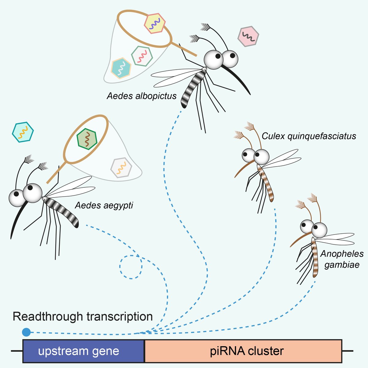 jieqiong qu tweet media