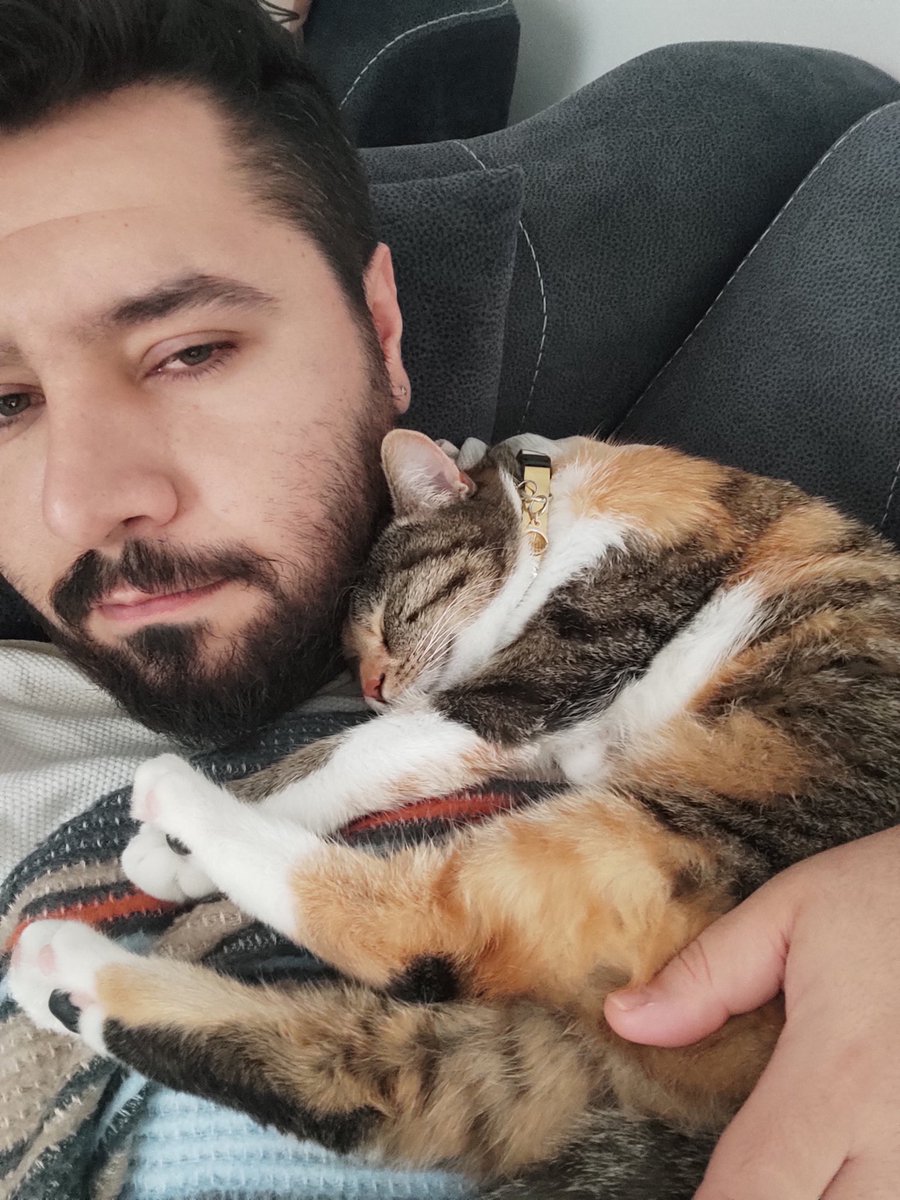samet25kaya's tweet photo. Dilsiz dostum... #CatsOfTwitter #cats https://t.co/qFZpJRIXve