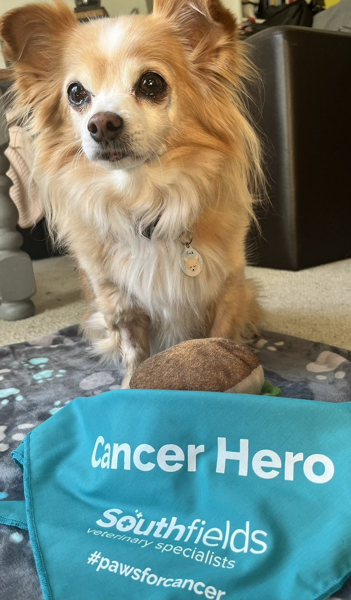 Great to have you back on air <a href="/DecPierce/">Dec Pierce</a> #blockrockinbeats Erik says hi, celebrating finishing his radiotherapy treatment today