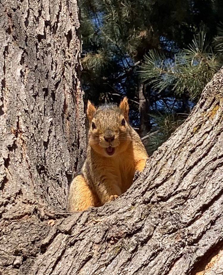 Before and after being told today is Friday