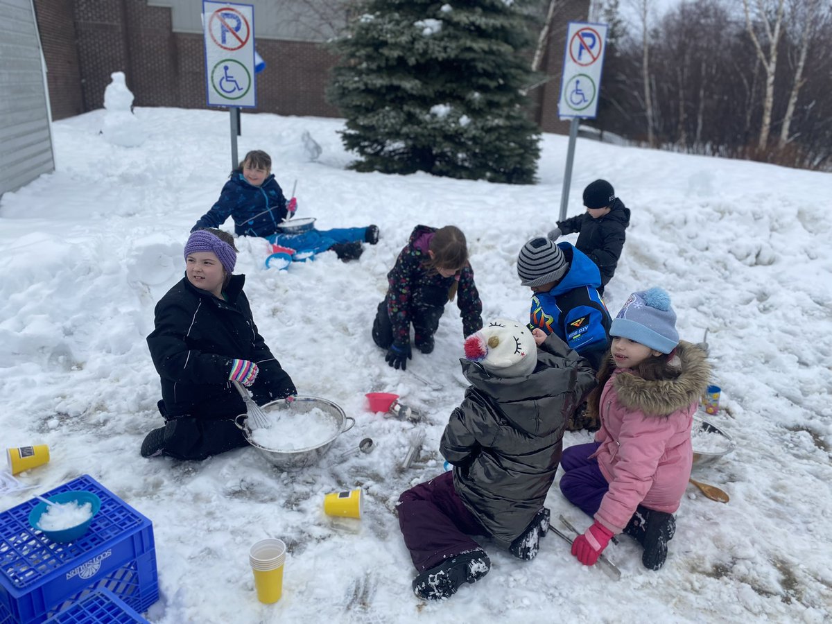 Woodland Primary School tweet media