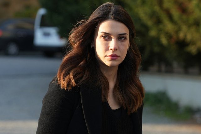 Serinin bitmesinin nedeni