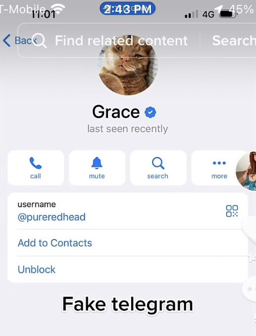 So I was perusing TikTok, and saw one of @redheadgracies where she talks about fake accounts. At the<a class="tags" href="/tag/redheadgracies">@redheadgracies</a>
