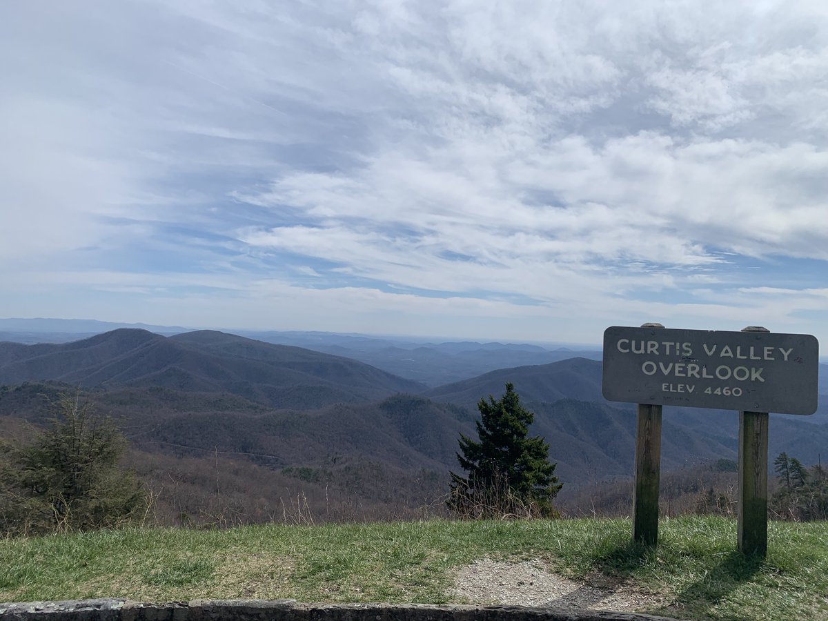 The Assaults tweet media