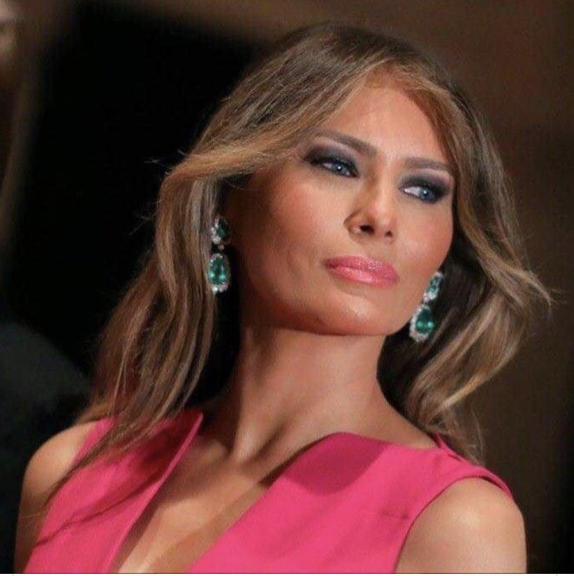 Chicago1Ray's tweet image. Liberal heads exploded on me the last time i asked people to (RT) if they agree that Melania is the most beautiful first lady in history, 💯%